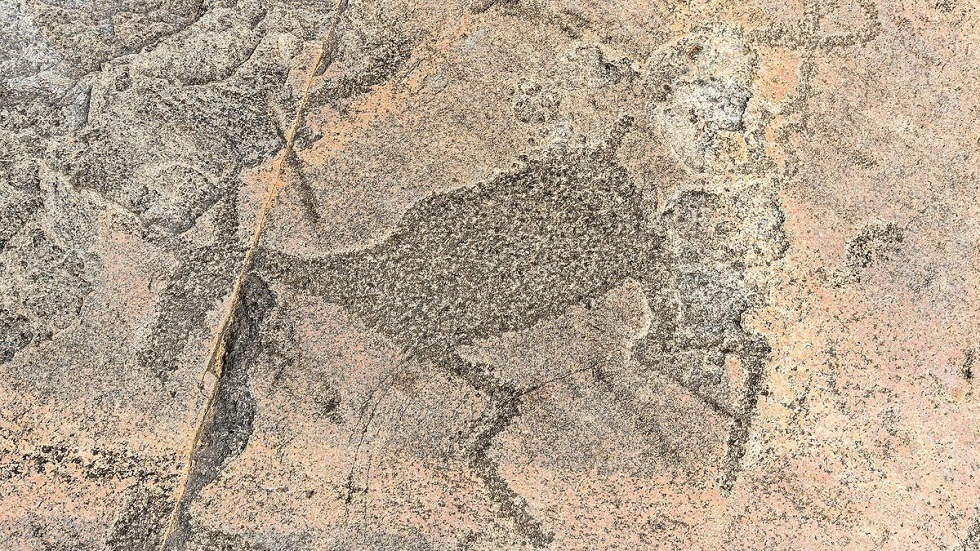 علماء روس ينشئون نسخة ثلاثية الابعاد لرسوم صخرية في القطب الشمالي