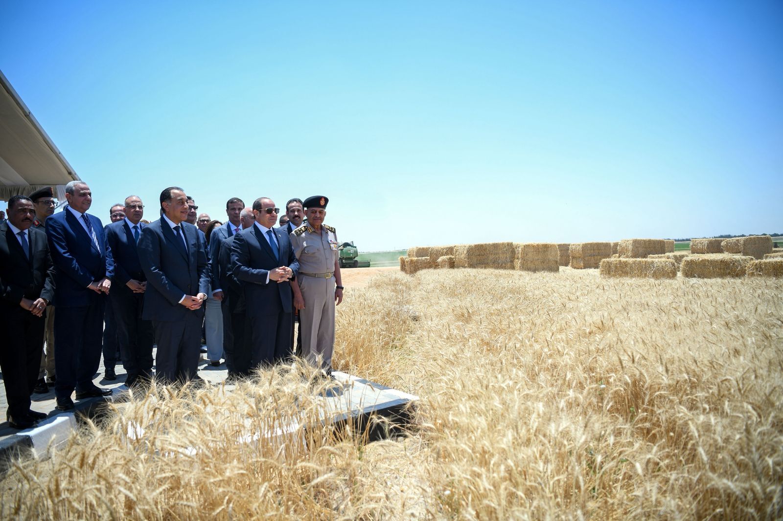 تحذير في مصر من تقاوي مجهولة تهدد الزراعة