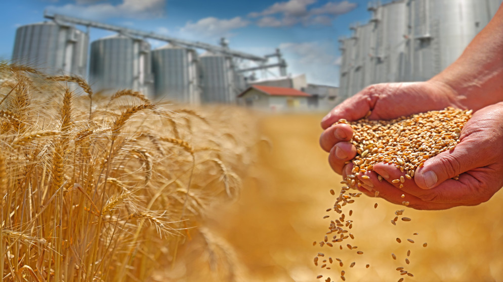 الصوامع: مخزون القمح يكفي 10 أشهر والشعير 8 في الاردن