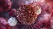 اكتشاف خلايا مناعية قادرة على مهاجمة السرطان مباشرة